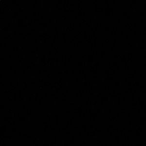 Meet your Posher, Paige